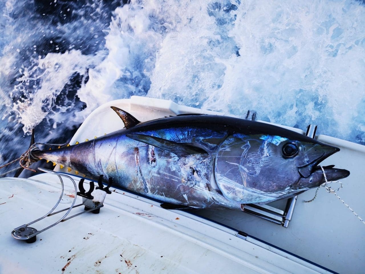 Tira Fishing Tira Fishing